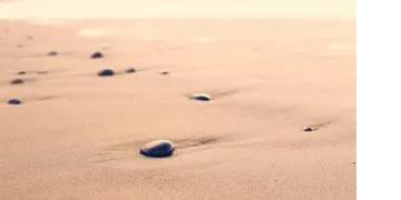 Warren Test API 121 logo